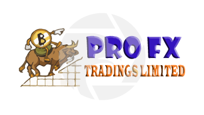 Professional FX Traders