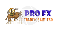 Professional FX Traders