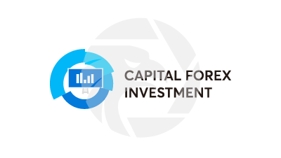 Capital Forex Investment