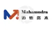 Mahamudra