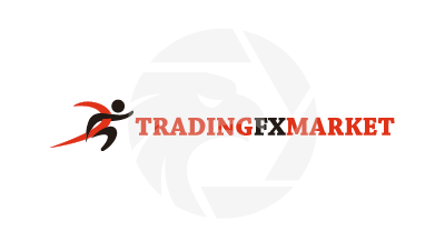 Trading FX Market