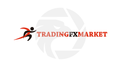 Trading FX Market