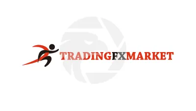 Trading FX Market