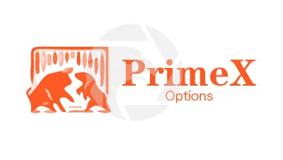 PrimeX Options