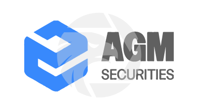 AGM SECURITIES