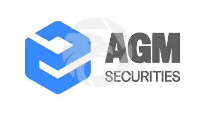 AGM SECURITIES