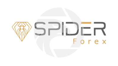 Spider Forex