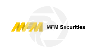 MFM Securities