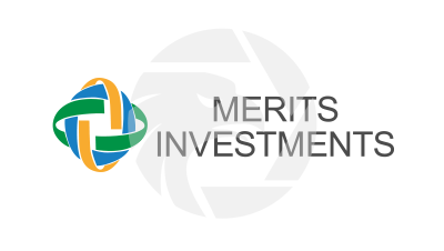 MERITS INVESTMENTS