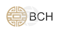 BCH Global Limited