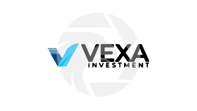 VEXA INVESTMENT