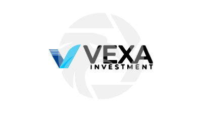VEXA INVESTMENT