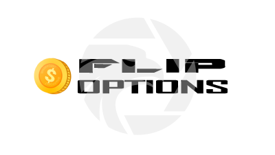 FLIP OPTIONS