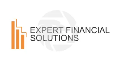 EXPERT FINANCIAL SOLUTIONS