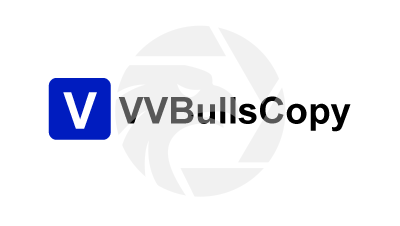 VVBullsCopy