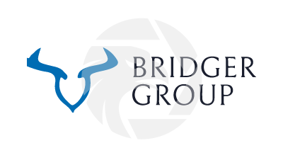 BRIDGER GROUP