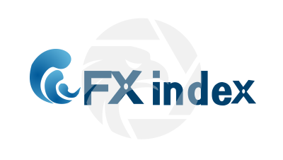 FX INDEX