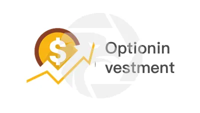 Optioninvestment