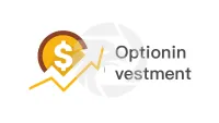 Optioninvestment