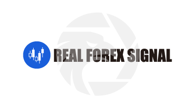 Real Forex Signal