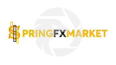 Springfxmarket