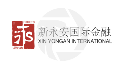 XIN YONGAN INTERNATIONAL新永安国际金融