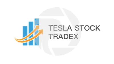 TESLA STOCK TRADEX