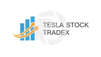 TESLA STOCK TRADEX