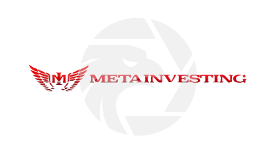 MetaInvesting