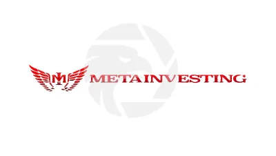 MetaInvesting