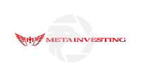 MetaInvesting