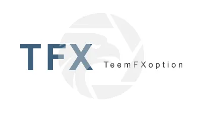 TeemFXoption